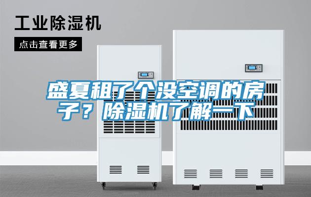 盛夏租了個沒空調(diào)的房子?除濕機了解一下