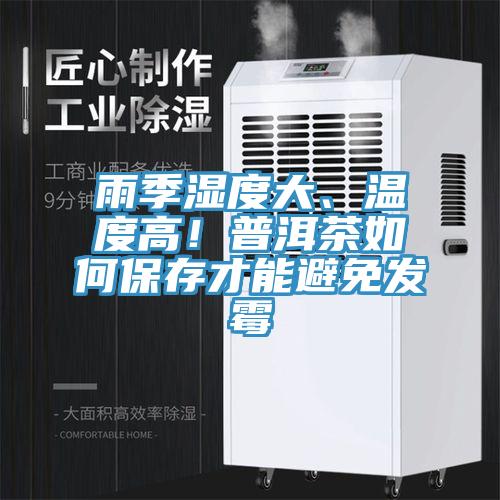 雨季濕度大、溫度高!普洱茶如何保存才能避免發霉