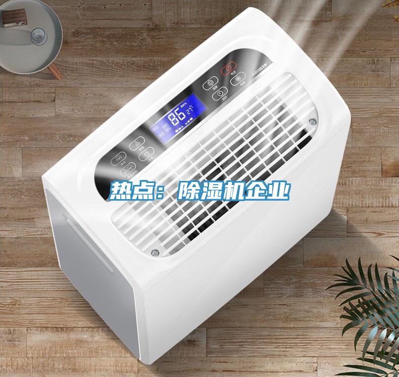 熱點:除濕機企業