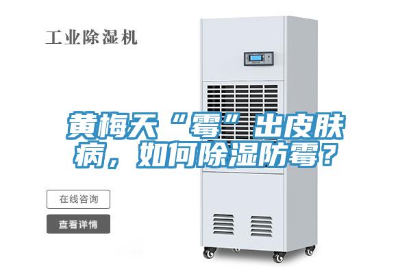 黃梅天“霉”出皮膚病,如何除濕防霉?