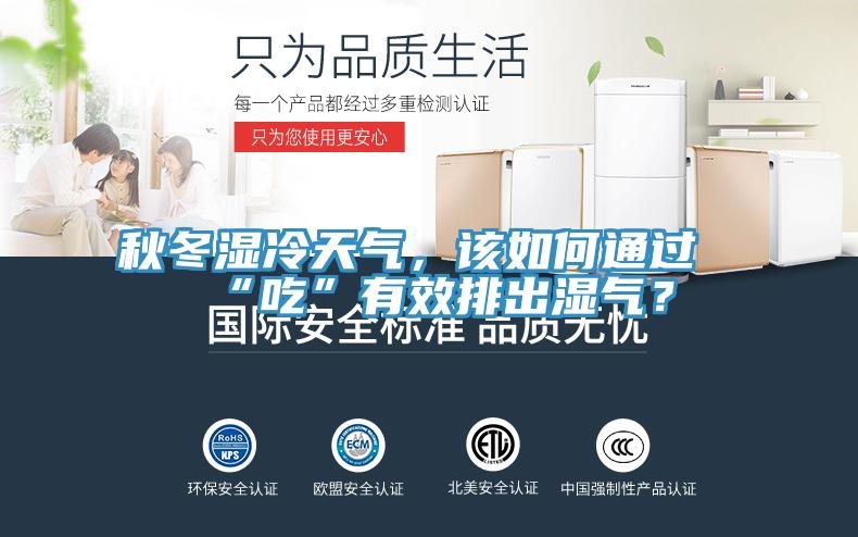 秋冬濕冷天氣,該如何通過“吃”有效排出濕氣?