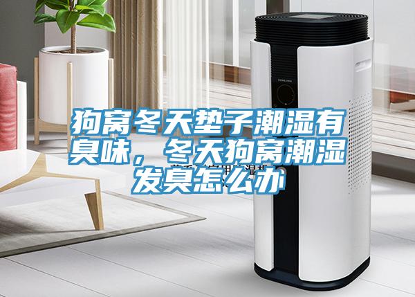 狗窩冬天墊子潮濕有臭味,冬天狗窩潮濕發(fā)臭怎么辦