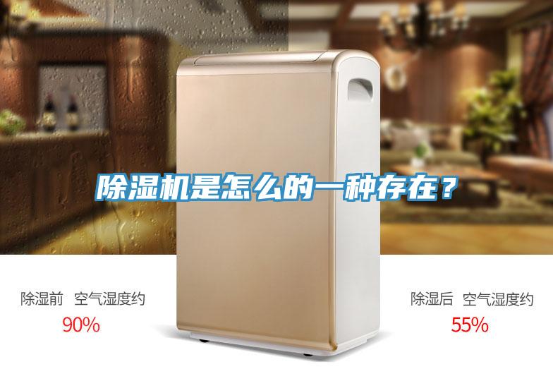 除濕機(jī)是怎么的一種存在?