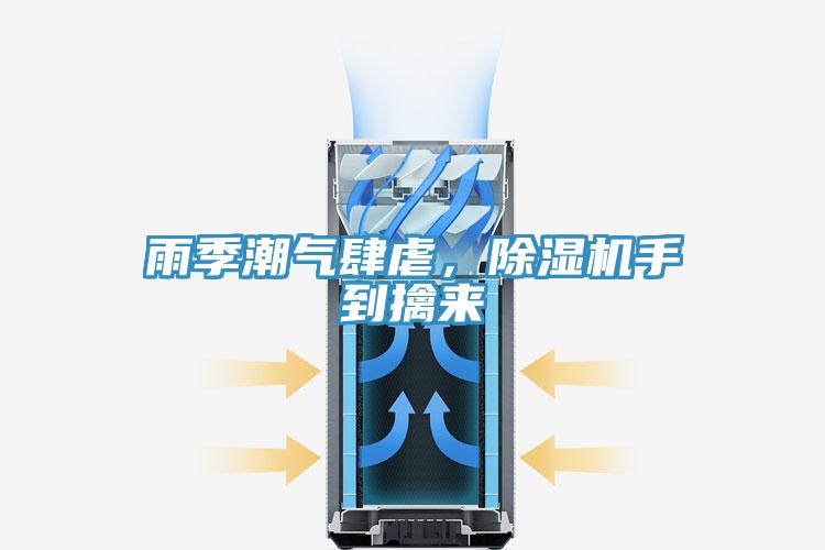 雨季潮氣肆虐，除濕機手到擒來