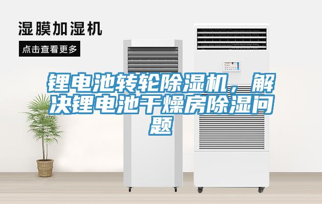 鋰電池轉輪除濕機,解決鋰電池干燥房除濕問題