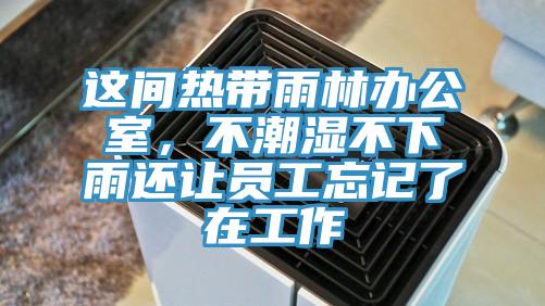 這間熱帶雨林辦公室,不潮濕不下雨還讓員工忘記了在工作