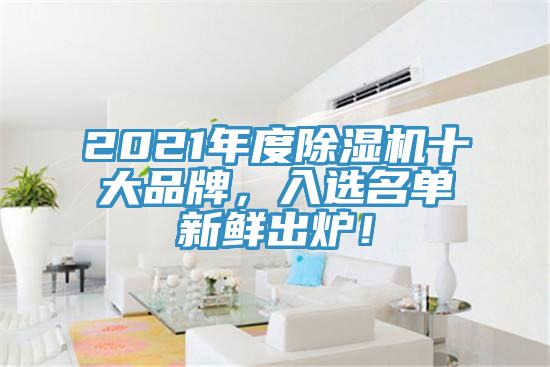 2021年度除濕機十大品牌，入選名單新鮮出爐！