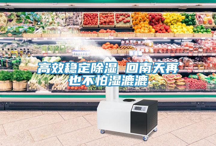 高效穩定除濕 回南天再也不怕濕漉漉