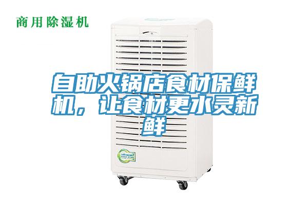自助火鍋店食材保鮮機,讓食材更水靈新鮮