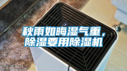 秋雨如晦濕氣重,除濕要用除濕機