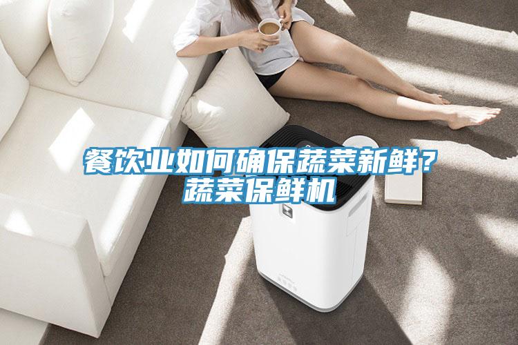 餐飲業如何確保蔬菜新鮮？蔬菜保鮮機