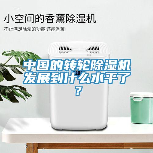 中國的轉輪除濕機發展到什么水平了?