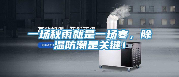 一場秋雨就是一場寒,除濕防潮是關鍵!