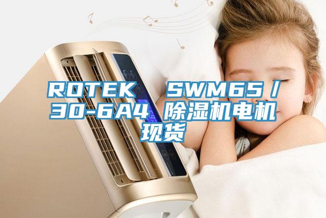 ROTEK SWM65/30-6A4 除濕機電機現貨