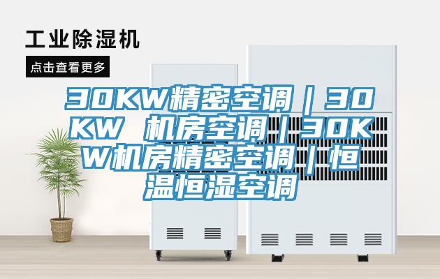 30KW精密空調(diào)|30KW 機(jī)房空調(diào)|30KW機(jī)房精密空調(diào)|恒溫恒濕空調(diào)