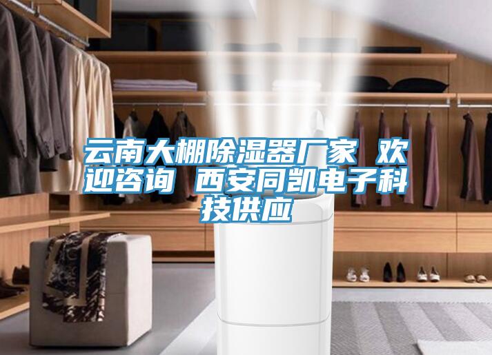 云南大棚除濕器廠家 歡迎咨詢(xún) 西安同凱電子科技供應(yīng)