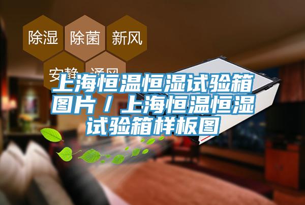 上海恒溫恒濕試驗箱圖片/上海恒溫恒濕試驗箱樣板圖