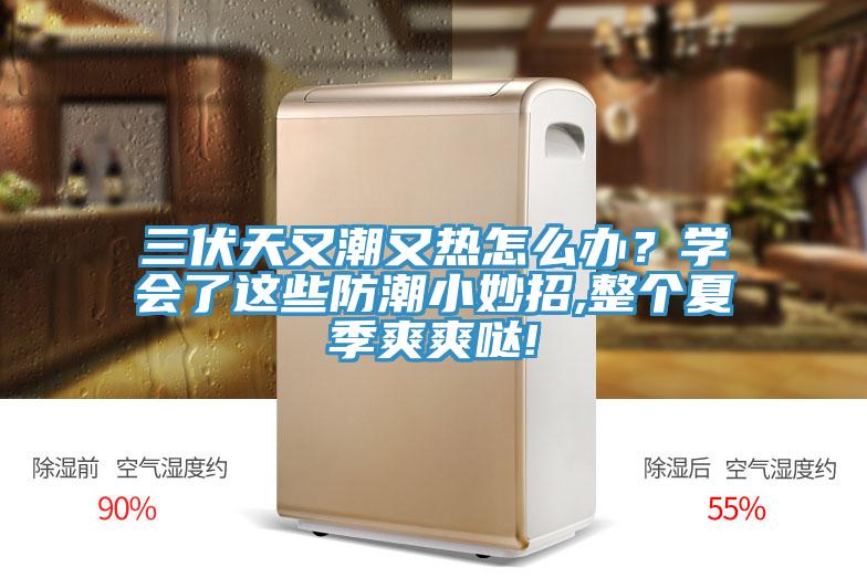 三伏天又潮又熱怎么辦?學會了這些防潮小妙招,整個夏季爽爽噠!