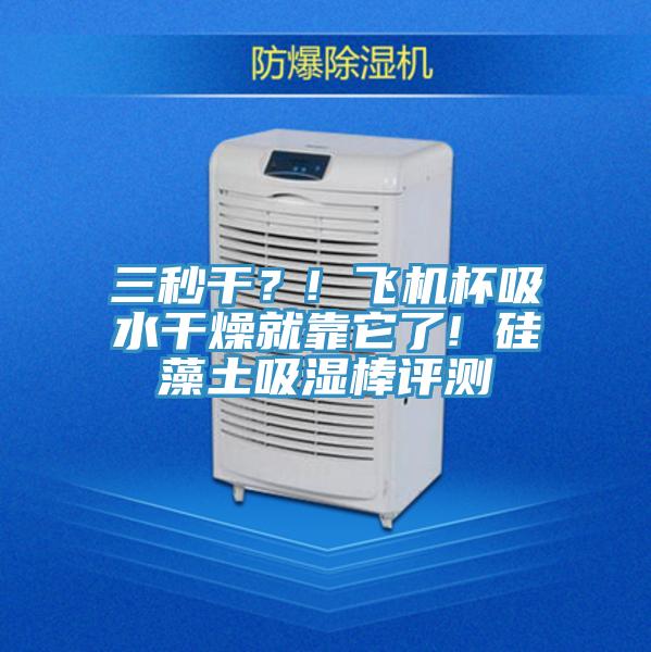 三秒干?! 飛機(jī)杯吸水干燥就靠它了! 硅藻土吸濕棒評(píng)測(cè)