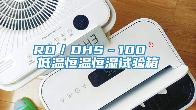 RD/DHS-100 低溫恒溫恒濕試驗箱