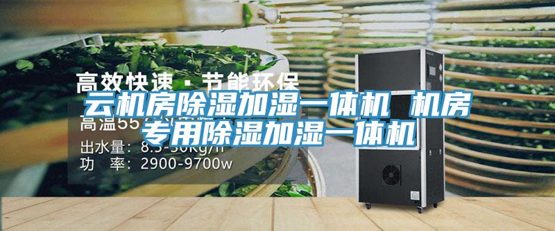 云機(jī)房除濕加濕一體機(jī) 機(jī)房專(zhuān)用除濕加濕一體機(jī)