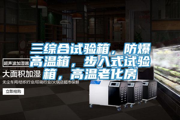 三綜合試驗(yàn)箱,防爆高溫箱,步入式試驗(yàn)箱,高溫老化房