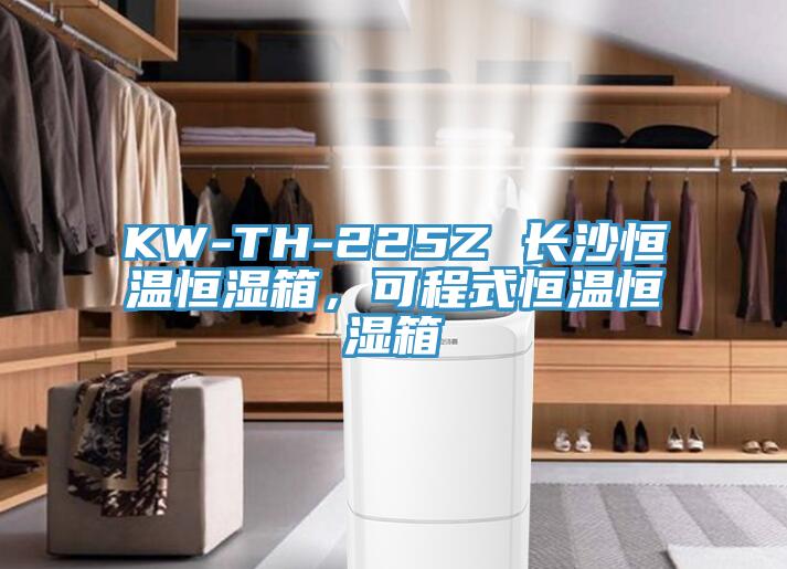 KW-TH-225Z 長沙恒溫恒濕箱,可程式恒溫恒濕箱
