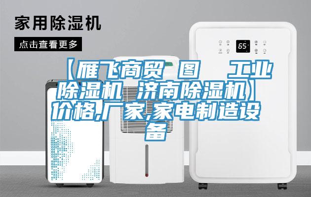 【雁飛商貿 圖 工業除濕機 濟南除濕機】價格,廠家,家電制造設備