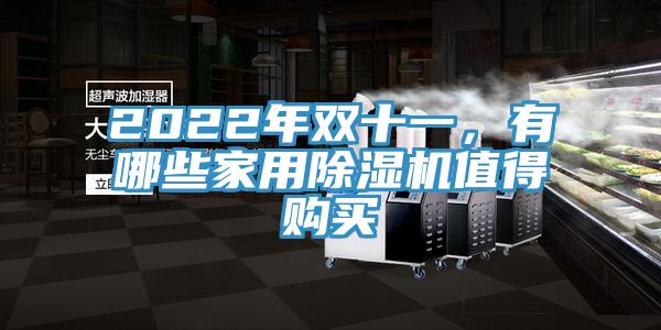 2022年雙十一,有哪些家用除濕機(jī)值得購(gòu)買(mǎi)
