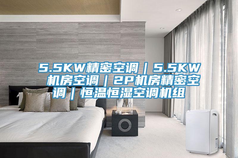 5.5KW精密空調(diào)|5.5KW 機(jī)房空調(diào)|2P機(jī)房精密空調(diào)|恒溫恒濕空調(diào)機(jī)組