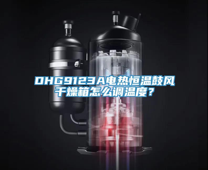 DHG9123A電熱恒溫鼓風干燥箱怎么調溫度?