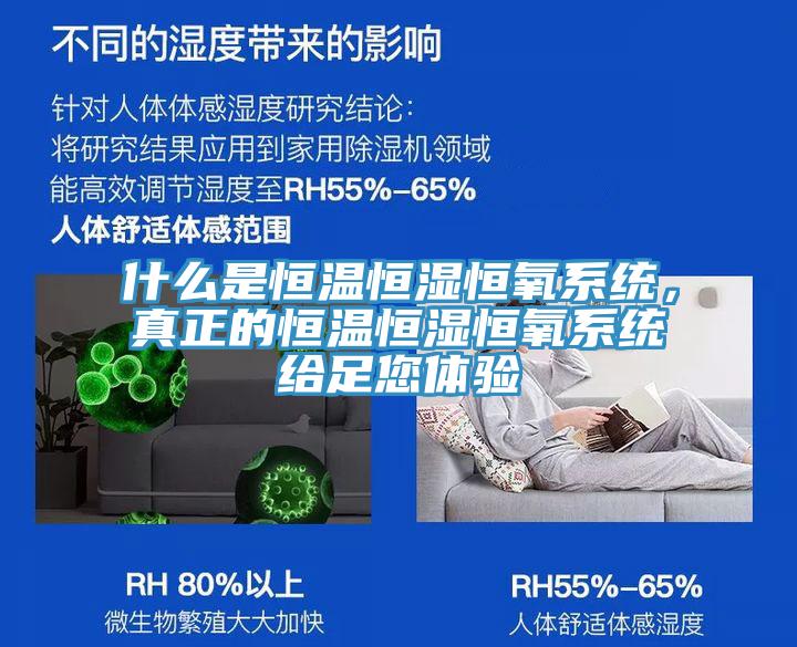 什么是恒溫恒濕恒氧系統,真正的恒溫恒濕恒氧系統給足您體驗