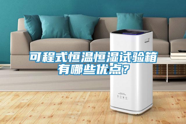 可程式恒溫恒濕試驗(yàn)箱有哪些優(yōu)點(diǎn)?