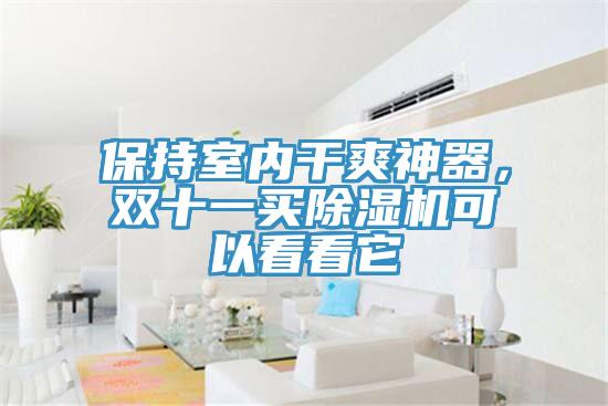 保持室內(nèi)干爽神器,雙十一買除濕機(jī)可以看看它