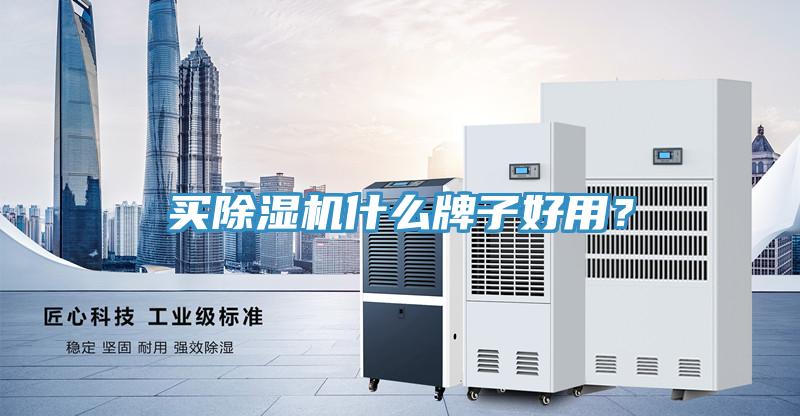 買(mǎi)除濕機(jī)什么牌子好用？