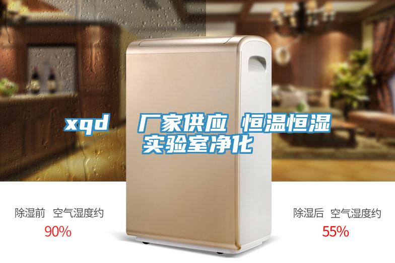 xqd 廠家供應 恒溫恒濕實驗室凈化