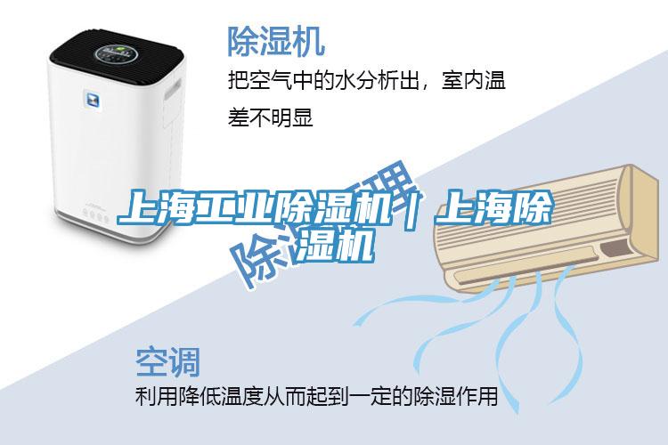 上海工業除濕機|上海除濕機