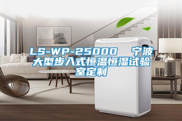LS-WP-25000 寧波大型步入式恒溫恒濕試驗室定制