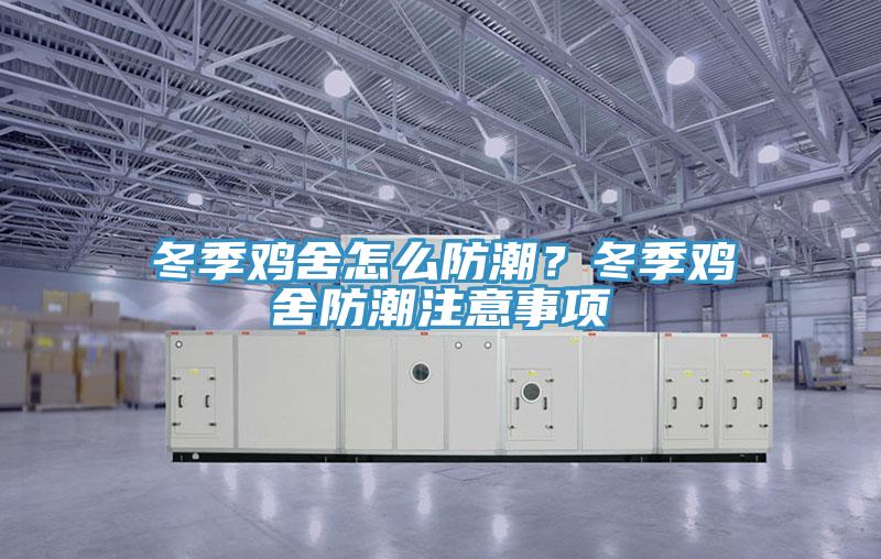 冬季雞舍怎么防潮?冬季雞舍防潮注意事項