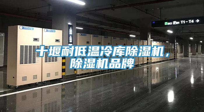 十堰耐低溫冷庫除濕機,除濕機品牌