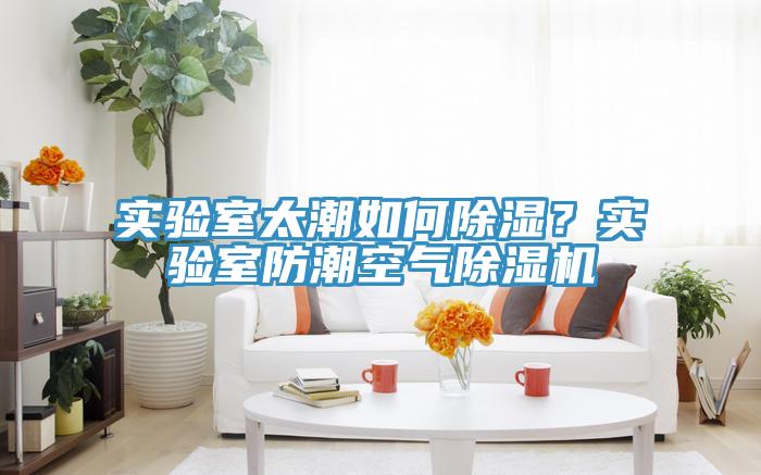 實(shí)驗(yàn)室太潮如何除濕？實(shí)驗(yàn)室防潮空氣除濕機(jī)