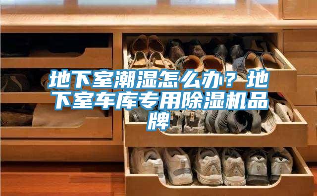 地下室潮濕怎么辦?地下室車(chē)庫(kù)專(zhuān)用除濕機(jī)品牌