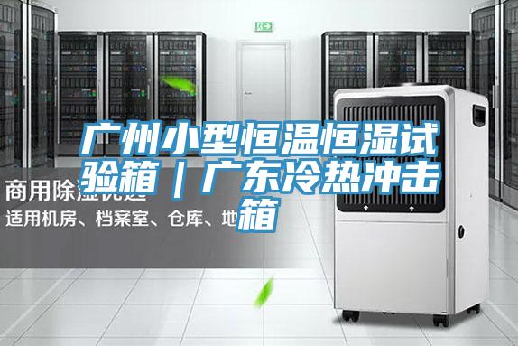 廣州小型恒溫恒濕試驗箱|廣東冷熱沖擊箱