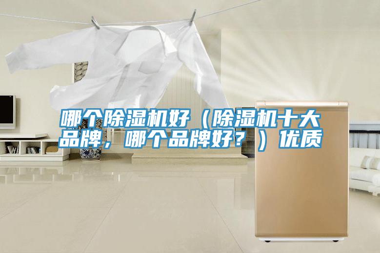 哪個(gè)除濕機(jī)好（除濕機(jī)十大品牌，哪個(gè)品牌好？）優(yōu)質(zhì)