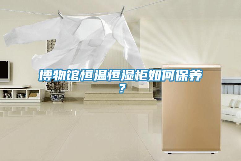 博物館恒溫恒濕柜如何保養(yǎng)?