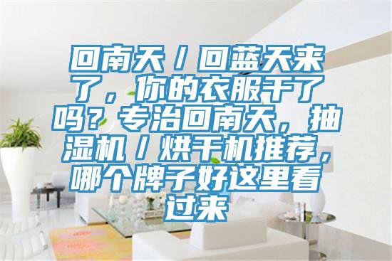 回南天/回藍天來了,你的衣服干了嗎?專治回南天,抽濕機/烘干機推薦,哪個牌子好這里看過來