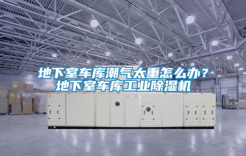 地下室車庫潮氣太重怎么辦?地下室車庫工業除濕機