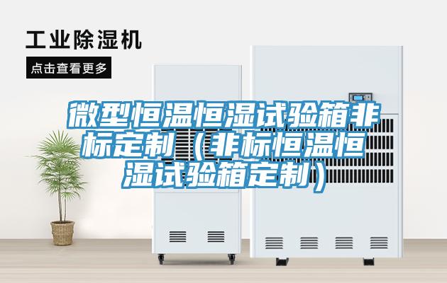 微型恒溫恒濕試驗(yàn)箱非標(biāo)定制(非標(biāo)恒溫恒濕試驗(yàn)箱定制)