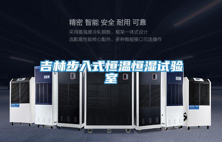 吉林步入式恒溫恒濕試驗室