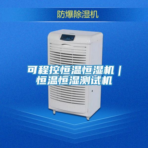 可程控恒溫恒濕機(jī)|恒溫恒濕測試機(jī)